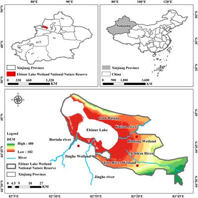 Monitoring and evaluation of vegetation restoration in the Ebinur Lake Wetland National Nature Reserve under lockdown protection